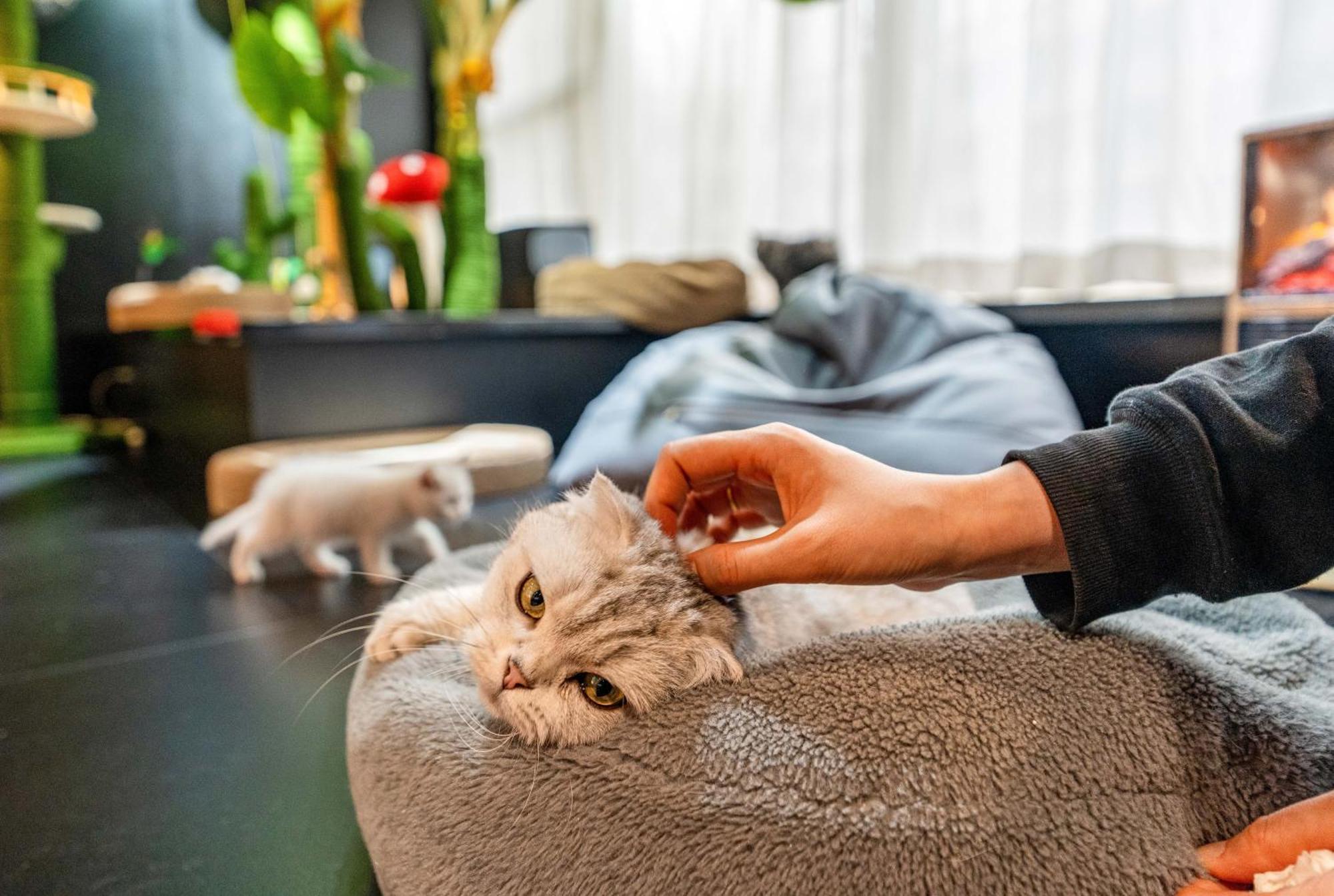 Hesu Designer Hotel & Suites -Near Xi'An Drum Tower And Yongning Gate -Free Laundry Luggage Storage -Kitty Cafe With Freshly Ground Coffee -24H Front Desk -English Service Exteriör bild